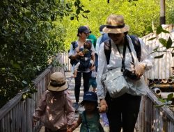 Mangrove Edupark Tambakrejo