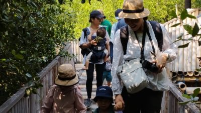 wisata mangrove edupark tambakrejo semarang