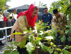 Mbak Ita Apresiasi Warga Semarang Dalam Program Urban Farming