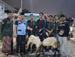 Ketua Umum BKPRMI Jawatengah Dimas Ana Fadli Berbagi Hewan Qurban Idul Adha 2024M/ 1445 H dengan 7 Sapi 2 Kambing dan 1 Domba