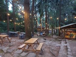 Dawuhan Kopi, Tempat Nongkrong Tengah Hutan di Semarang