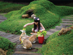 6 Spot Liburan Anak Edukatif dan Seru di Semarang