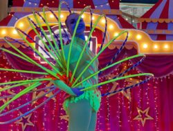 Libur Sekolah, The Park Mall Semarang Menggelar Aksi Pertunjukan Cirkus Gratis