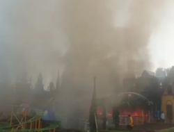 Taman Bunga Celosia Kebakaran Hebat, 7 Dakmar di Kerahkan.