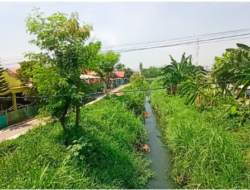 Mulai Bulan Desember Pemkot Semarang Pastikan Pembebasan Lahan Normalisasi Sungai Plumbon