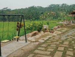 kafe vibes ubud di semarang