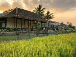 Hidden Gems Vibes Ubud di Semarang