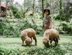 Agrowisata Boemisora Semarang, Cocok untuk Destinasi Libur Long Weekend