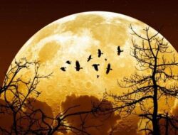Fenomena Supermoon Dapat Disaksikan Malam Ini?