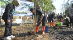 Dukung Mageri Segoro, Pemkot Semarang Gerakkan Tanam Cemara Laut di Pesisir