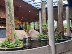 Ella Kitchen and garden tembalang