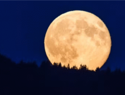 Supermoon Terakhir Tahun 2025, Muncul di Bulan Desember