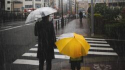 Sudah Musim Kemarau Tapi Masih Sering Hujan? Ini Alasannya