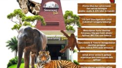 Special Hari Buruh Ada Promo Wisata ke Semarang Zoo