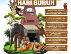 Special Hari Buruh Ada Promo Wisata ke Semarang Zoo