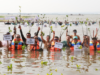 Mangrove untuk Masa Depan: UNNES dan PAMA Group Wujudkan Aksi Nyata