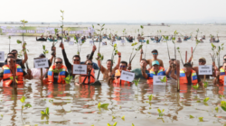 Mangrove untuk masa depan