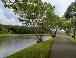 Danau BSB Bukan Cuma Pemanis tapi Punya Peran Penting