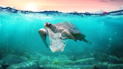 sampah plastik mendominasi laut indonesia