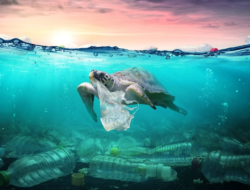 Plastik Makanan dan Minuman, Mendominasi Sampah Laut di Indonesia