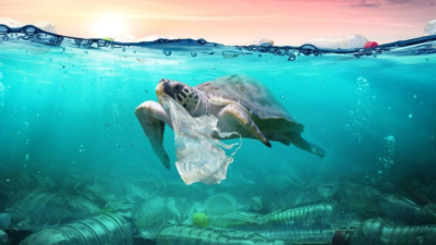 sampah plastik mendominasi laut indonesia