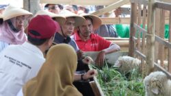 Olah Lahan Kritis dengan Smart Farming, Setya Ari Targetkan Duplikasi Revola ke Seluruh Jateng