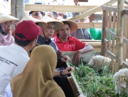 Olah Lahan Kritis dengan Smart Farming, Setya Ari Targetkan Duplikasi Revola ke Seluruh Jateng
