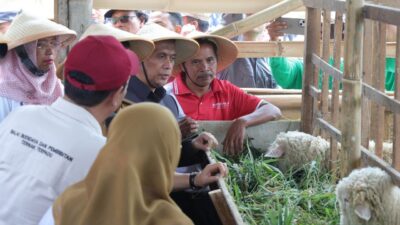 Olah Lahan Kritis dengan Smart Farming di jateng