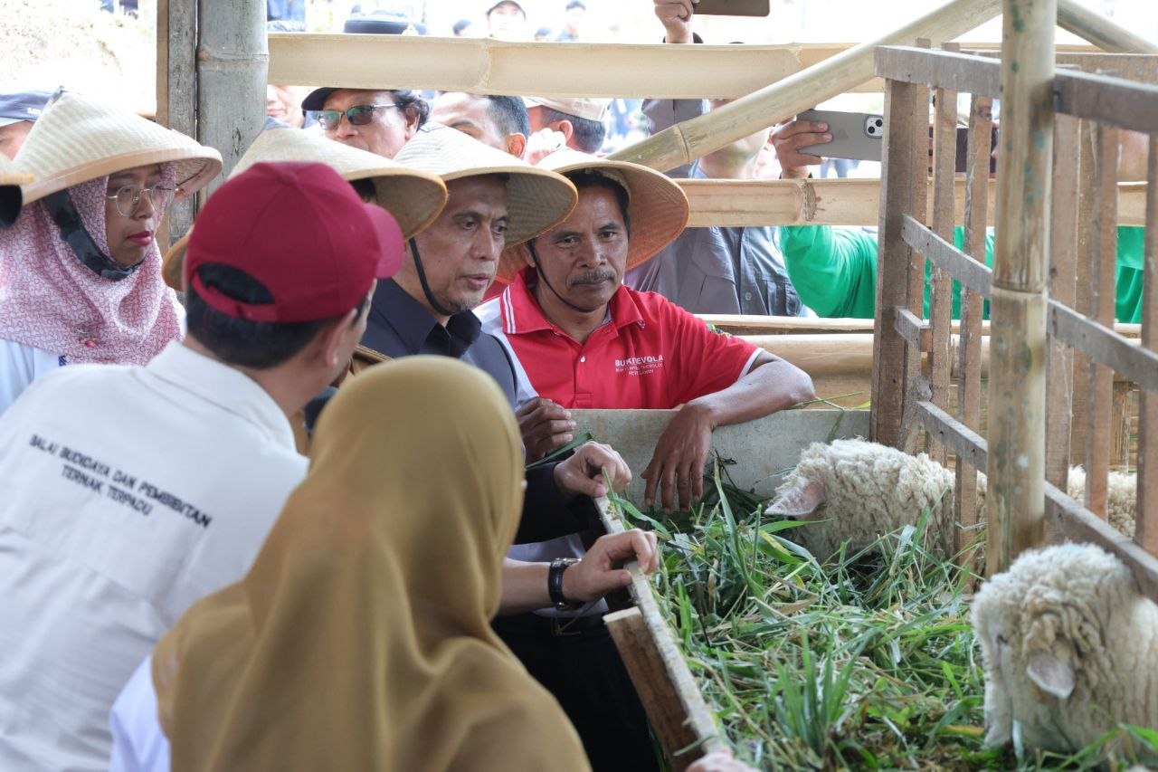 Olah Lahan Kritis dengan Smart Farming di jateng