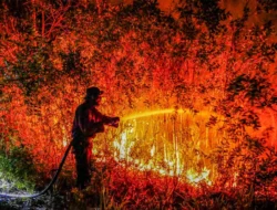 Kabut Asap kibat Karhutla Sudah Berdampak