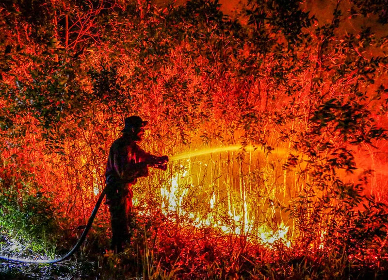 karhutla di Kalimantan