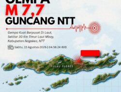 Gempa Bumi Tektonik M 7,7 Guncang NTT