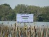 PAMA Group Perluas Rehabilitasi Pesisir, Tanam 20.000 Mangrove di Patebon Kendal