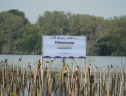 PAMA Group Perluas Rehabilitasi Pesisir, Tanam 20.000 Mangrove di Patebon Kendal