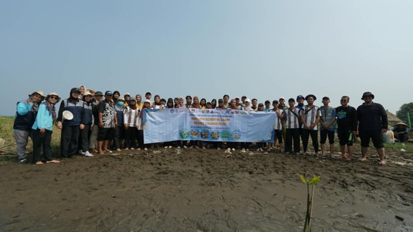 penenaman mangrove