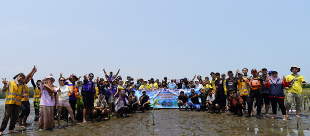 penanaman mangrove di pesisir kendal