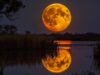 Penjelasan BMKG Tentang Fenomena Hunter’s Moon 2026
