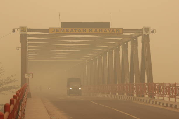Kalimantan tengah diselimuti asap pekat akibat karhutla