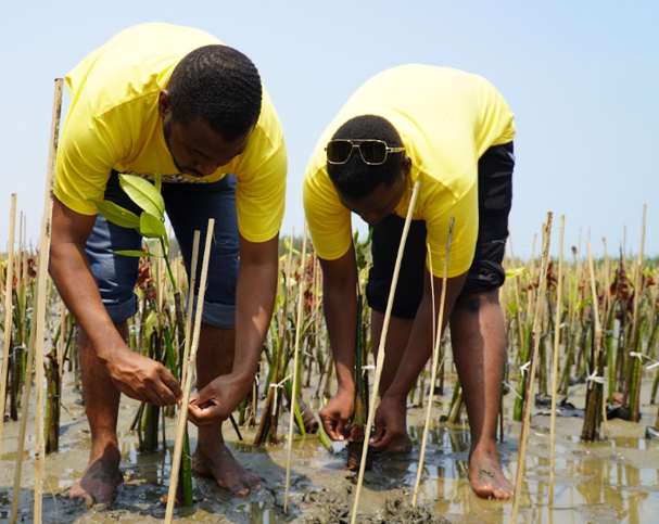Keterlibatan mahasiwa international di penanaman mangrove pesisir kendal